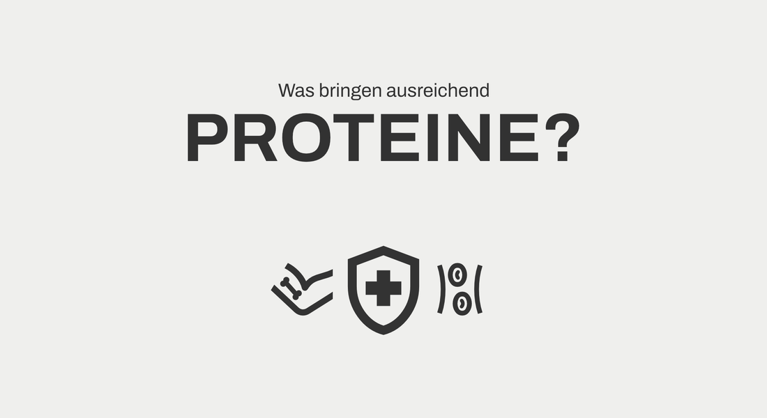 Was bringen ausreichend Proteine?